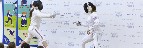 fencing_demo